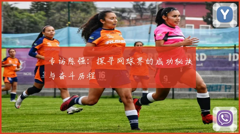 专访陈强：探寻网球界的成功秘诀与奋斗历程