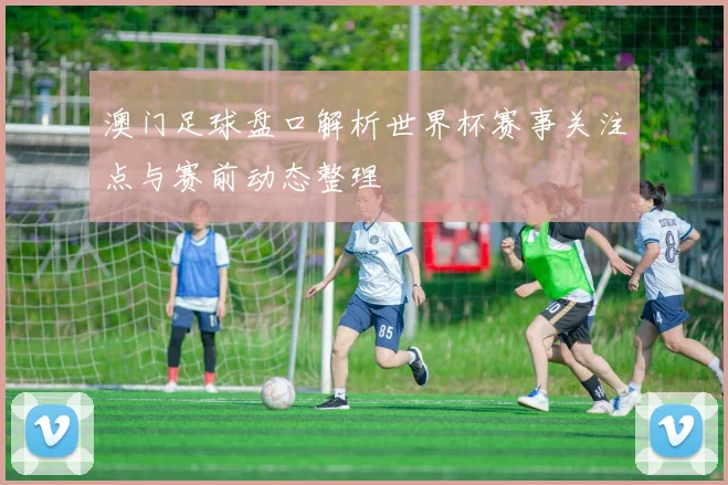 澳门足球盘口解析世界杯赛事关注点与赛前动态整理